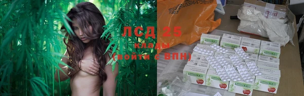 ешки Бородино