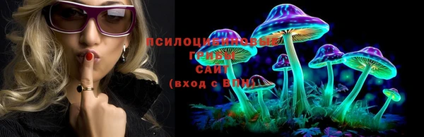 эйфоретик Покачи