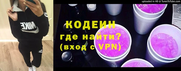 ешки Бородино