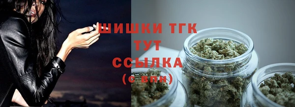 ешки Бородино