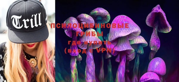 ешки Бородино