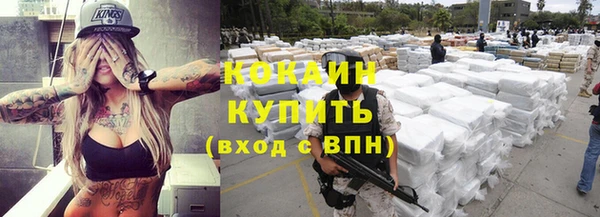 твердый Бронницы