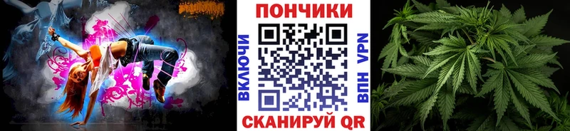 Каннабис сатива  блэк спрут маркетплейс  Горняк 